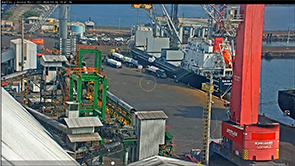 Live webcam on the dock